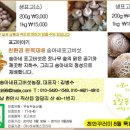 송아네농장 Daum카페