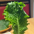 경기도 수원시 장안구 창훈로60번길 | 수원 장안구 이의동 경기대 족발맛집 바로이족발!