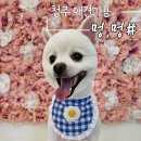 멍멍샵 이미지