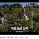 마태복음 말씀 읽으며 단시조 쓰기 2(14장~28장) 이미지