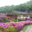 조선 왕가 이미지