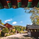 금산인삼국제시장 | 충청남도 금산 여행지 추천