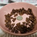 휴먼앤케어 이미지