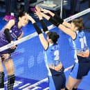 흥국생명 이미지