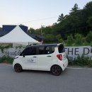 드라이빙펫 안심하개 이미지