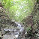 7월23일 정기산행 여름캠프 치악산 구룡사계곡 신청하세요 이미지