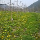 가송농장 이미지