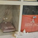 에르멍스 이미지