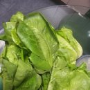 준오미장 이미지