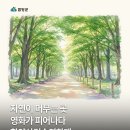 함양문화예술회관 소공연장 | 자연이 머무는 곳, 영화가 피어나다. 함양상림숲영화제 행사 안내