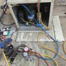 진양축산 이미지