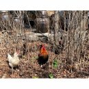 건축사사무소 마당소리 이미지