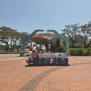 대전중앙센터 | [대전 여행] 아이와 함께 대전 당일치기 나들이ㅣ국립중앙과학관 후기 & 성심당 DCC점 평일 오후 방문...