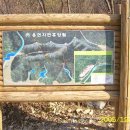 용현자연휴양림 야영장 이미지