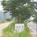 부녀구판장