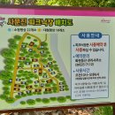 피크닉장 이미지