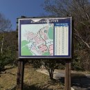 순천시청소년수련원 | 순천 오토캠핑장 추천 청소년수련원 2야영장에서의 맛있는 굴구이