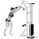 세종헬스 이미지