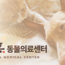 휴메디칼 네이버블로그