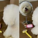 유즈뷰티 이미지