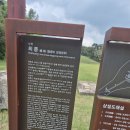 희릉 (중종비 장경왕후) 이미지