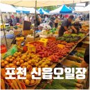 포천천1 | 포천 신읍오일장 시장 주차 위치 가는길 시간