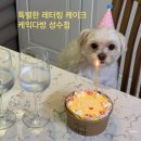 케익다방 성수점