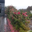 남원읍-36 이미지