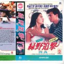 녹야 - 영동군 계산로4길 5-1 | [영화 & VHS 리뷰] 녹야추격 (1994)-🎬 엇갈린 운명 속 사랑과 복수, 홍콩 느와르의 비극미