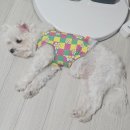 태기농장 | 2026.01.04 / 2025.10월 일상