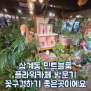 영플라워카페