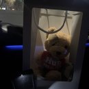 멍멍이뻐질고양 | 내 돈 내산 생일 코스✨ 오마카세 + 애견 동반 글램핑 완벽 조합 0320