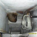 자연숯불갈비 이미지