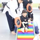 용문태권도장 이미지