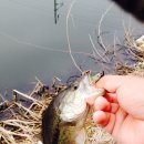 광신대교 이미지