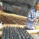 소안도 미소펜션 이미지