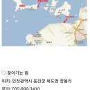 임가원 이미지