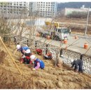 그린나무병원 이미지