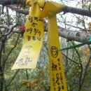 정광산 Daum카페