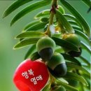 형창 Daum카페