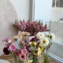 중도매인1호 이미지