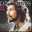 Wild World - Cat Stevens 이미지