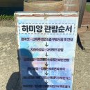 하미팜 | 경남 여행 추천 장소 함양 하미앙 와인밸리 방문 후기