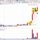 미원태양광발전소 이미지