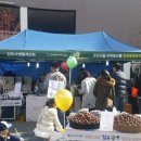 판촉아울렛