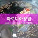아로니아정원 이미지