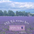 엔소프트 | 삿포로 필수 여름 비에이투어 엔데이트립 사진명소 간식 추천