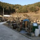 송광농장 이미지