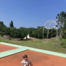 연월농장 이미지