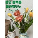 데이도노 | 용인 동백동 꽃집 플라워도노 꽃다발 선물 후기